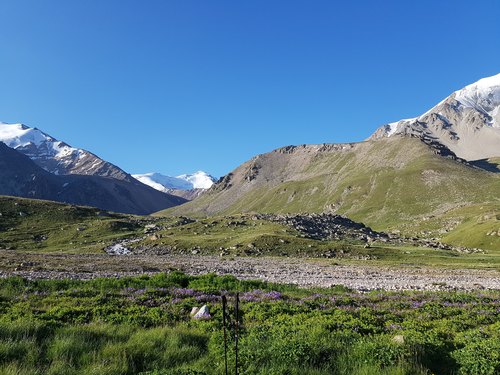 20180722_071113.jpg