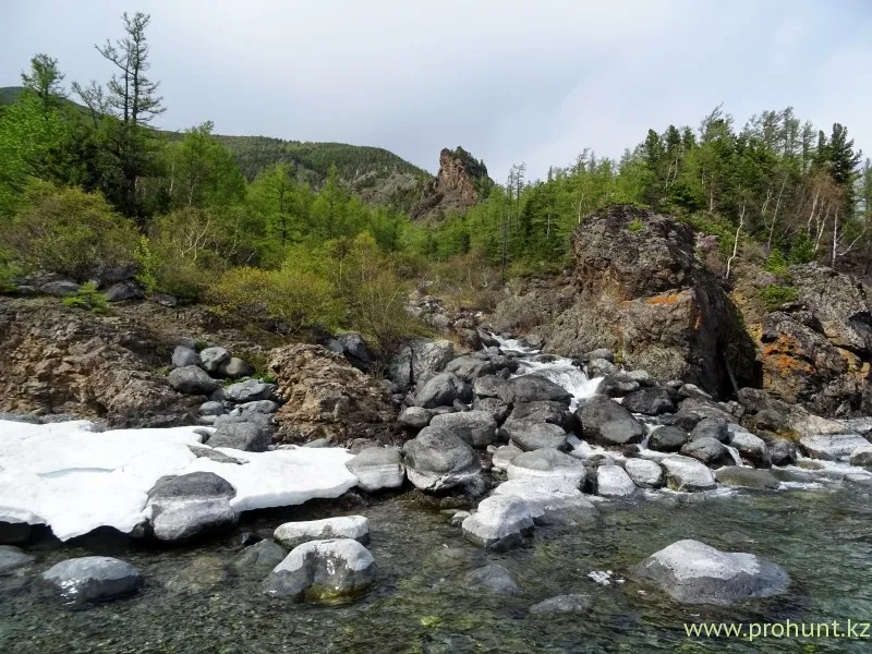 Рыбалка на Байкале