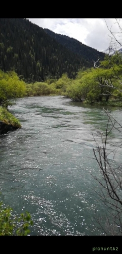 ЦЕНТРАЛЬНАЯ ДЖУНГАРИЯ