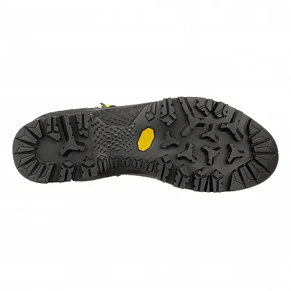 Ботинки WS RAPACE GTX - 5, Shaded Spruce/Sulphur Spring