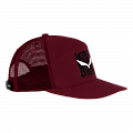 Кепка PURE SALAMANDER LOGO W CAP