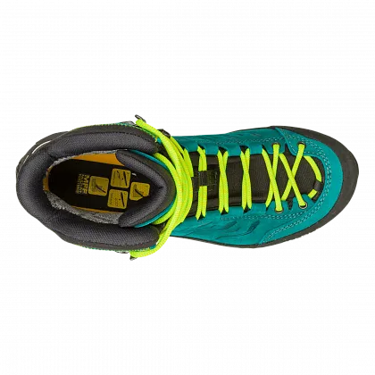 Ботинки WS RAPACE GTX - 5, Shaded Spruce/Sulphur Spring